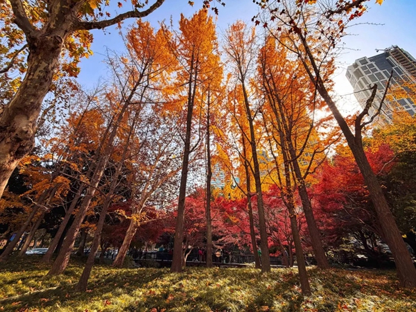 1767863835432075664.jpg 4.jpg