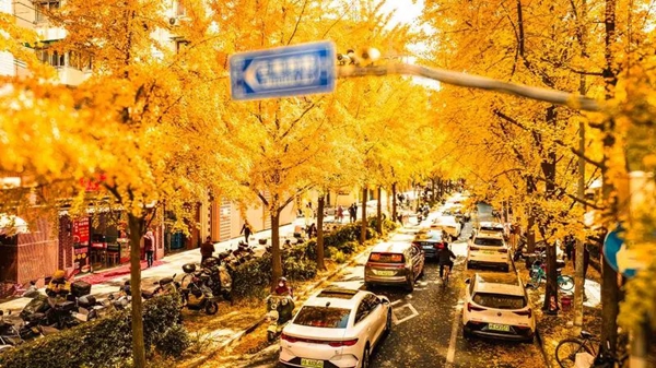 1767864203447045478.jpg 10.jpg