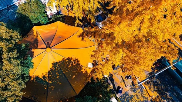 1767864214034041192.jpg 11.jpg