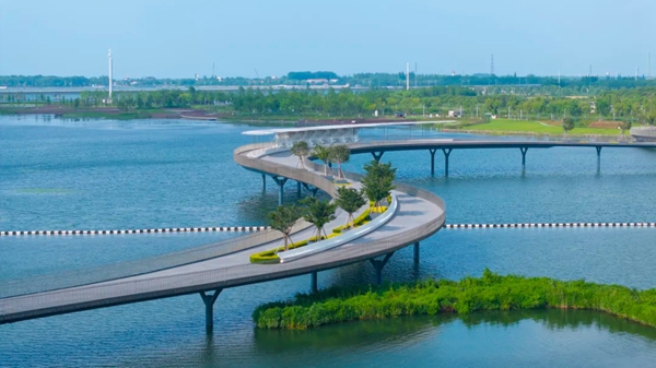 Qingpu's green transformation: A model of ecological harmony