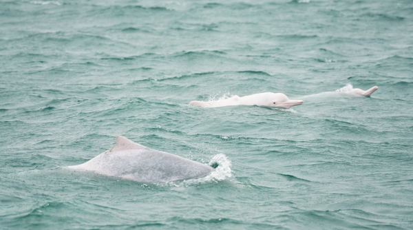 1769568066995075541.jpg WXWorkLocalGovPro_17695680736501.jpg