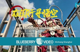 Seek Wukong in Minhang