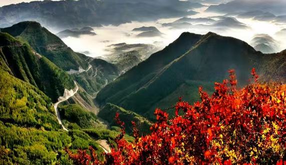 Guyuan transforms Liupan Mountains into green oasis on plateau