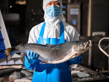 Shanghai Hi-Chain showcases new salmon products at CIIE