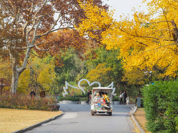 Shanghai Zoo's best winter viewing season is in full swing