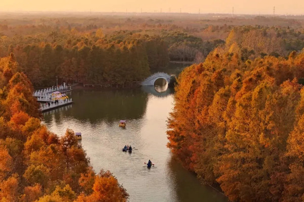 Fengxian's transformation: From suburb to global hub