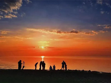 Explore Chongming's winter wonders: a guide to seasonal highlights