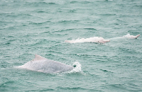 WXWorkLocalGovPro_17695680736501 (1).jpg