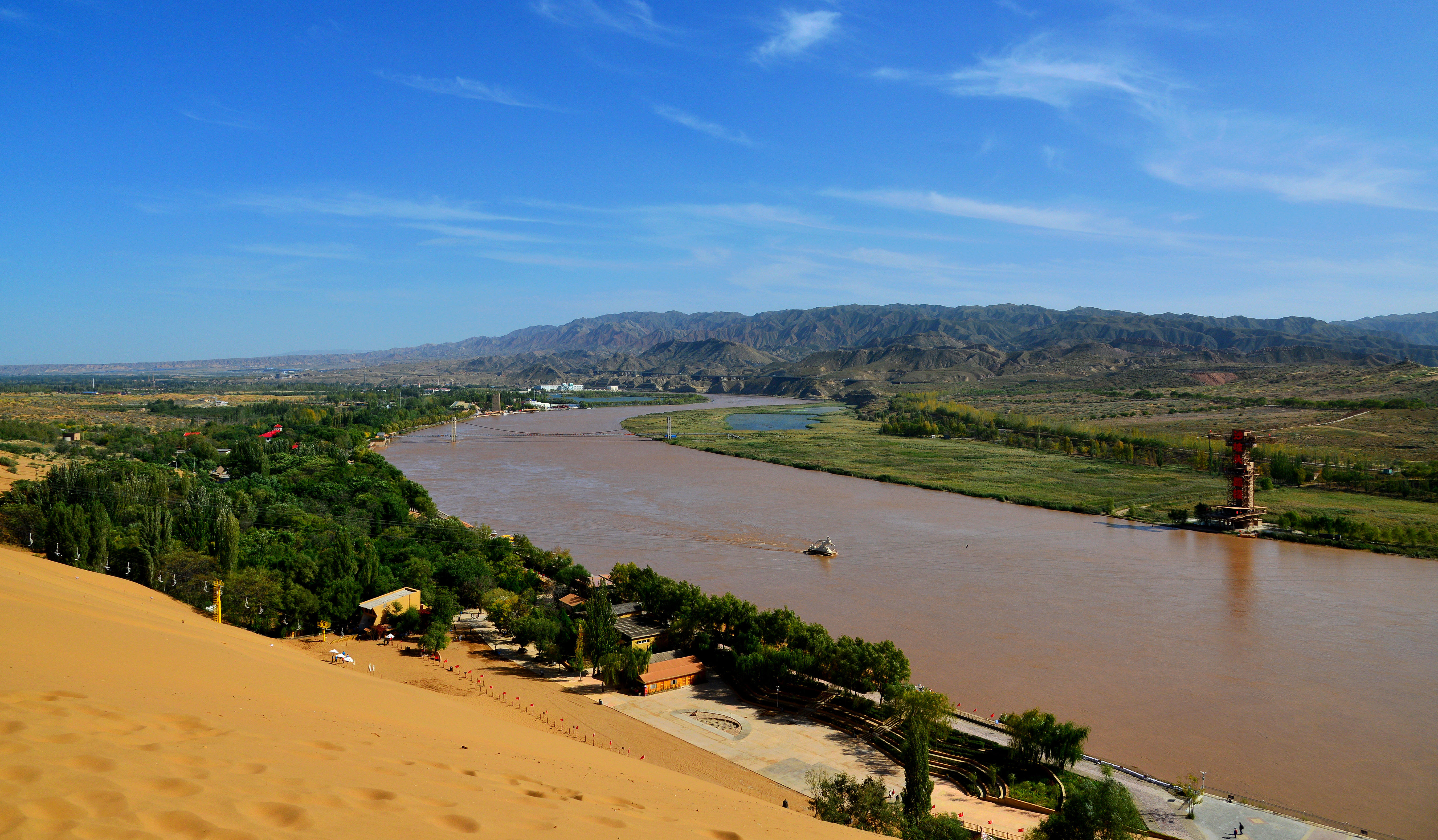 Shapotou National Nature Reserve welcomes 102 new species