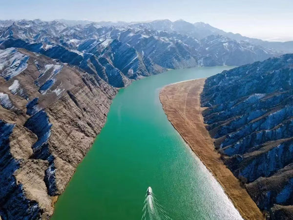 1741760609599086686.jpg ae44f9e70bf64b466a1acafcecef069.jpg