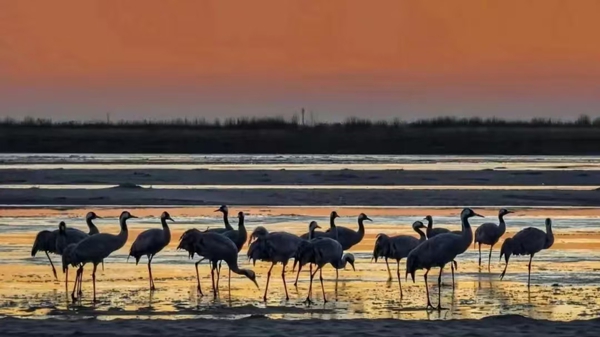 1742454373113062560.jpg 14b1ed7c3bf532e81c4bd33ddc615ad.jpg