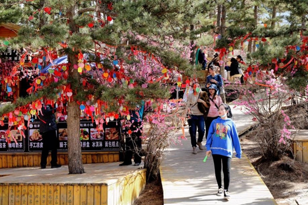 1744252550454059899.jpg 67e8de52a3100831b044a1c7.jpg