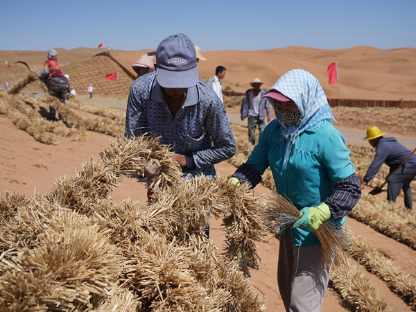 1751351034525025289.jpg 682445eac2d533fd41db7167219fc90_副本.jpg