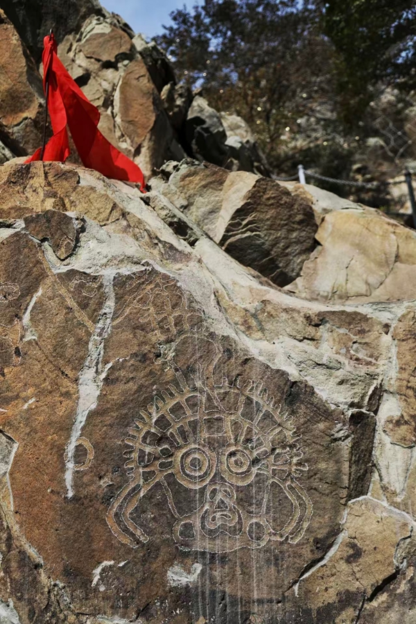 1755855210045096065.jpg 未命.jpg