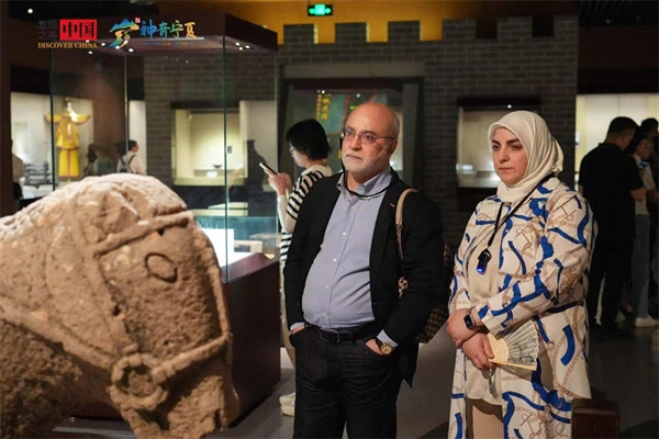 1756435238503018996.jpg 9.jpg