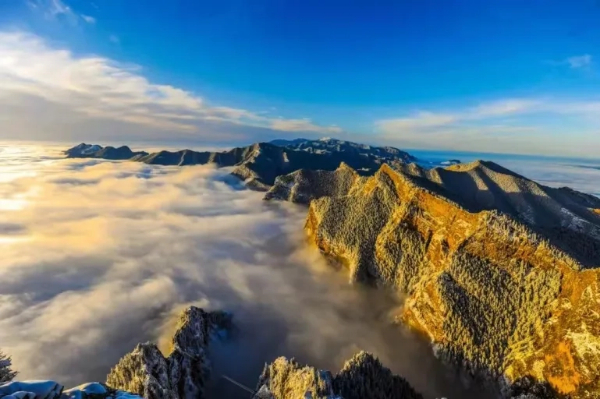 1757666853980045543.jpg 234234324.jpg