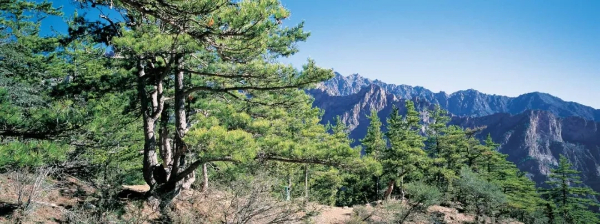 1757666871227055635.jpg 3242354.jpg