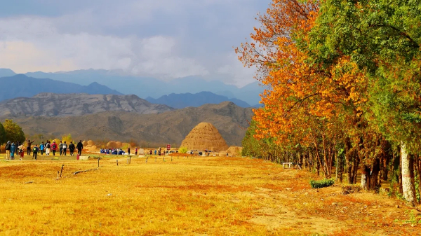 1759227919338014897.jpg 235456.jpg