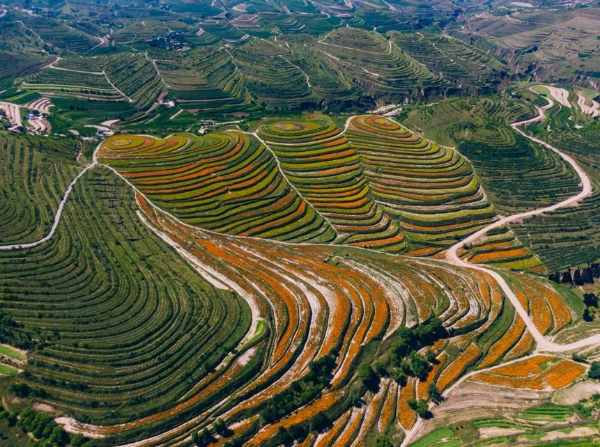 1759227943427035485.jpg 4354657.jpg