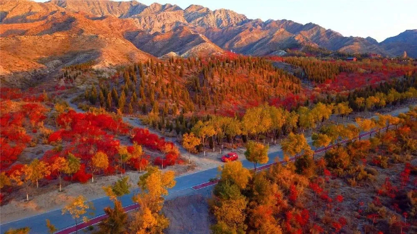 1762245457213001680.jpg 34645765876.jpg