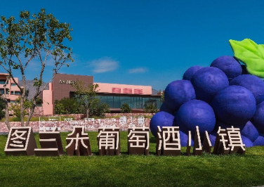 2025 Inaugural Wine Terroir & Culture Biennale kicks off 