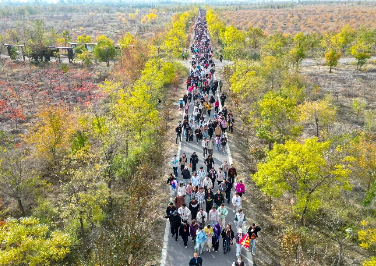 Helan Mountains Golden Autumn Hiking Carnival boosts consumption  
