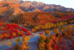 Enjoy silver trips in Shizuishan: From coal hub to charming escapes