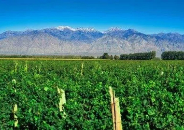 Construction advances on Helan Mountains 'Purple Avenue' tourism road