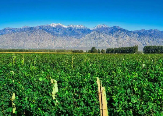 Construction advances on Helan Mountains 'Purple Avenue' tourism road