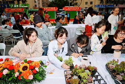 Ningxia Hui city lights up for Chinese Valentine's Day