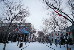 Unlock winter magic in Dawukou district of Shizuishan