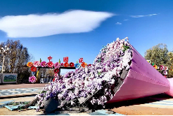 Preparations for Second Flower Expo Park Shanhai Lantern Festival underway