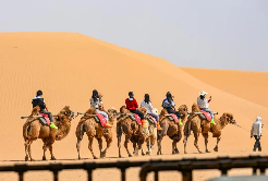 Shapotou Scenic Area excels in brand influence