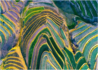 The colorful terraces in Ningxia’s Xiji