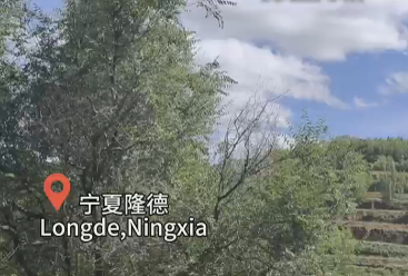 Xinhe village: A hidden gem in Ningxia Hui autonomous region