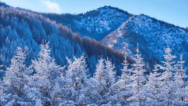 Discover winter magic, cultural riches of Liupan Mountains