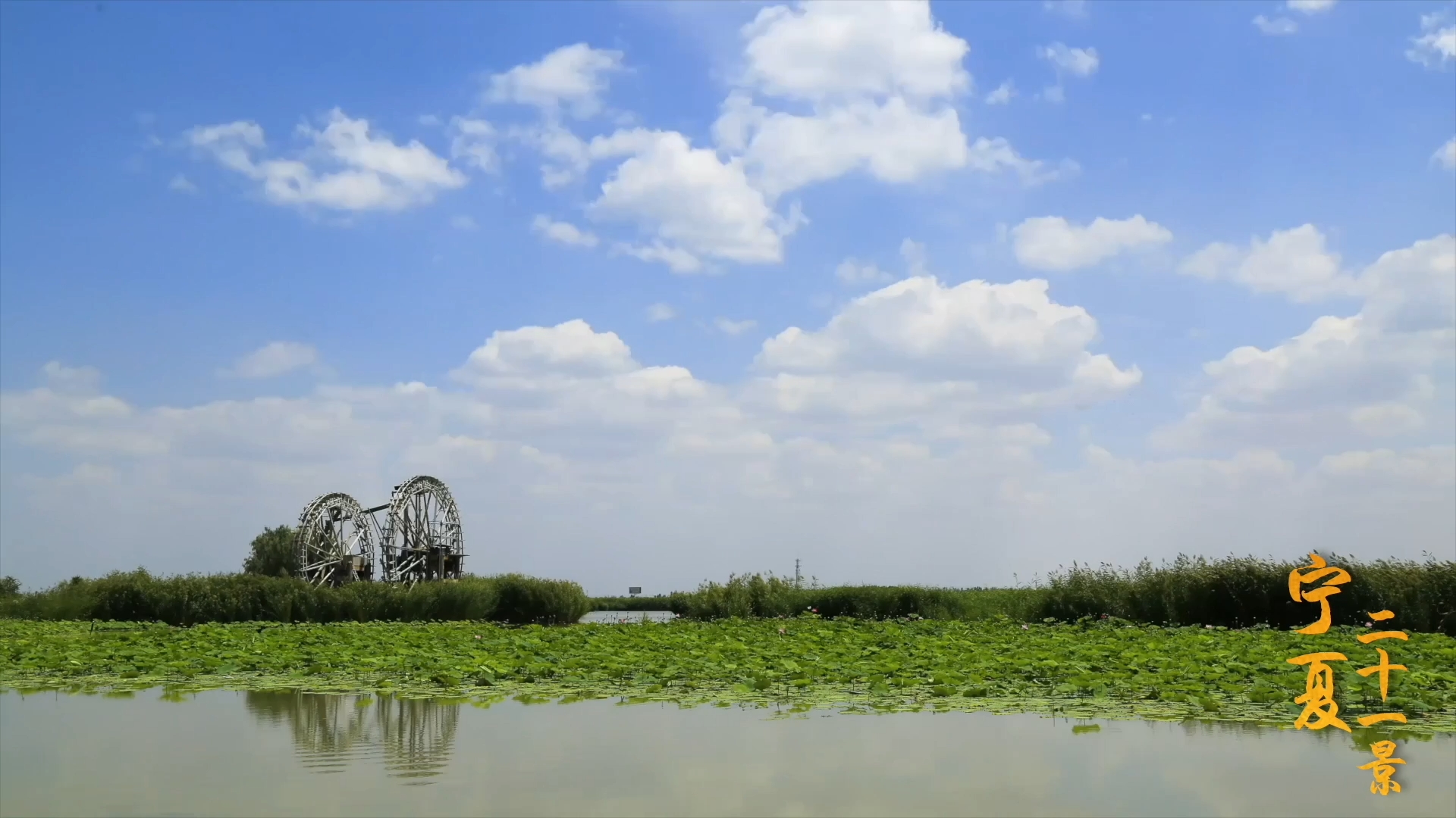 The 21 scenic sites of Ningxia: Mingcui Wetland