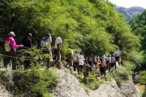 Massive 1,000-person trekking adventure held at Yanzhi Gorge