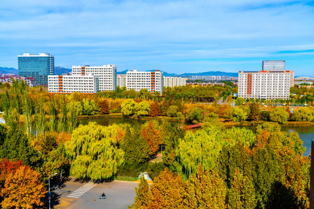 1765434590244021772.png 83ec3103b1dd4b3cbf901570664a7135.png