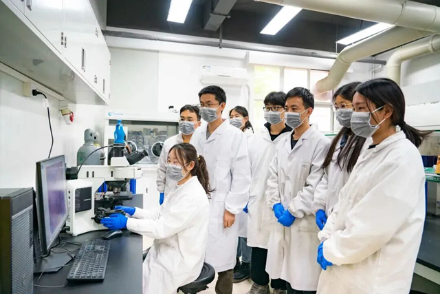 1765434740456066095.jpg 6520cfd71096439396bad4c5650cb721.jpg