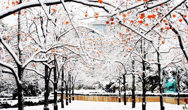 Discover Beijing in 2024 BIT International Winter Programs (On-campus)