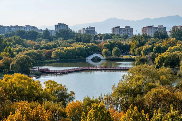 Pioneering excellence: Celebrating high-quality development at BIT series I