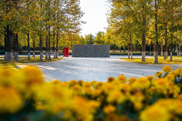 Pioneering excellence: Celebrating high-quality development at BIT series II