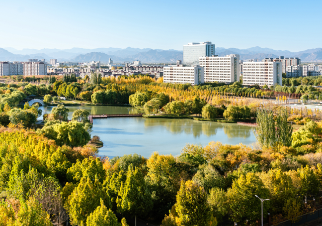 Pioneering excellence: Celebrating high-quality development at BIT series X