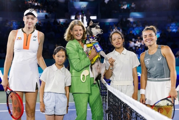 1766049545847026112.jpg ca8cb0b0-3434-4445-b7e2-44dbbeaaacf5.jpg