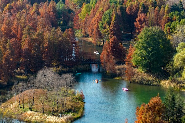 1766135007305097518.jpg 88e71a46-b347-4006-ab3b-9efd22d88b9b(2).jpg