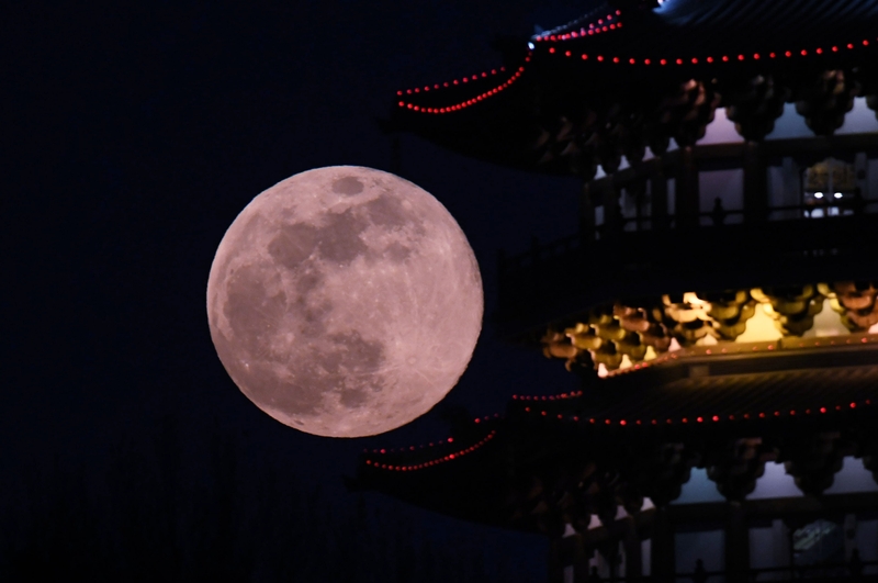 1767781740529029420.jpg 1767694818935024365.jpg