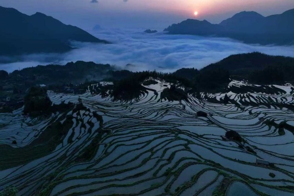 Yunhe rice terraces earn place in national textbook