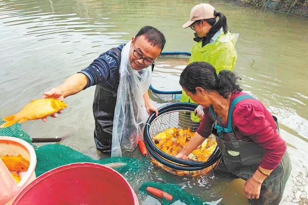 Lishui steps up efforts to boost agricultural heritage appeal