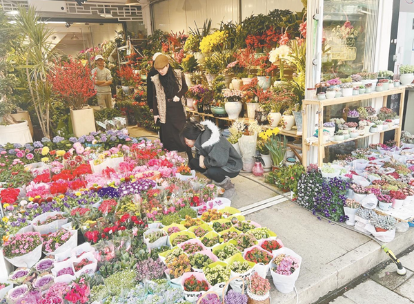 绍兴花市.png